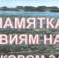 Администрация Тамалинского района обращается к жителям района с напоминанием основных правил поведения при половодье - Тамалинский район