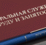 С 1 марта Роструд ведет учет нелегальной занятости и серых зарплат - Тамалинский район