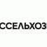 День семьи: более 90% российских пар украсят свои столы региональными и классическими блюдами - Тамалинский район