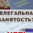Неформальная занятость (нелегальная занятость) - актуальная проблема в России в 2025 году - Тамалинский район