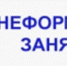 Скажи «НЕТ» теневой занятости - Тамалинский район