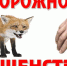 Бешенство смертельно опасно - Тамалинский район