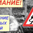 Пензенская ЦГМС информирует - Тамалинский район