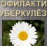 Туберкулез и его профилактика - Тамалинский район